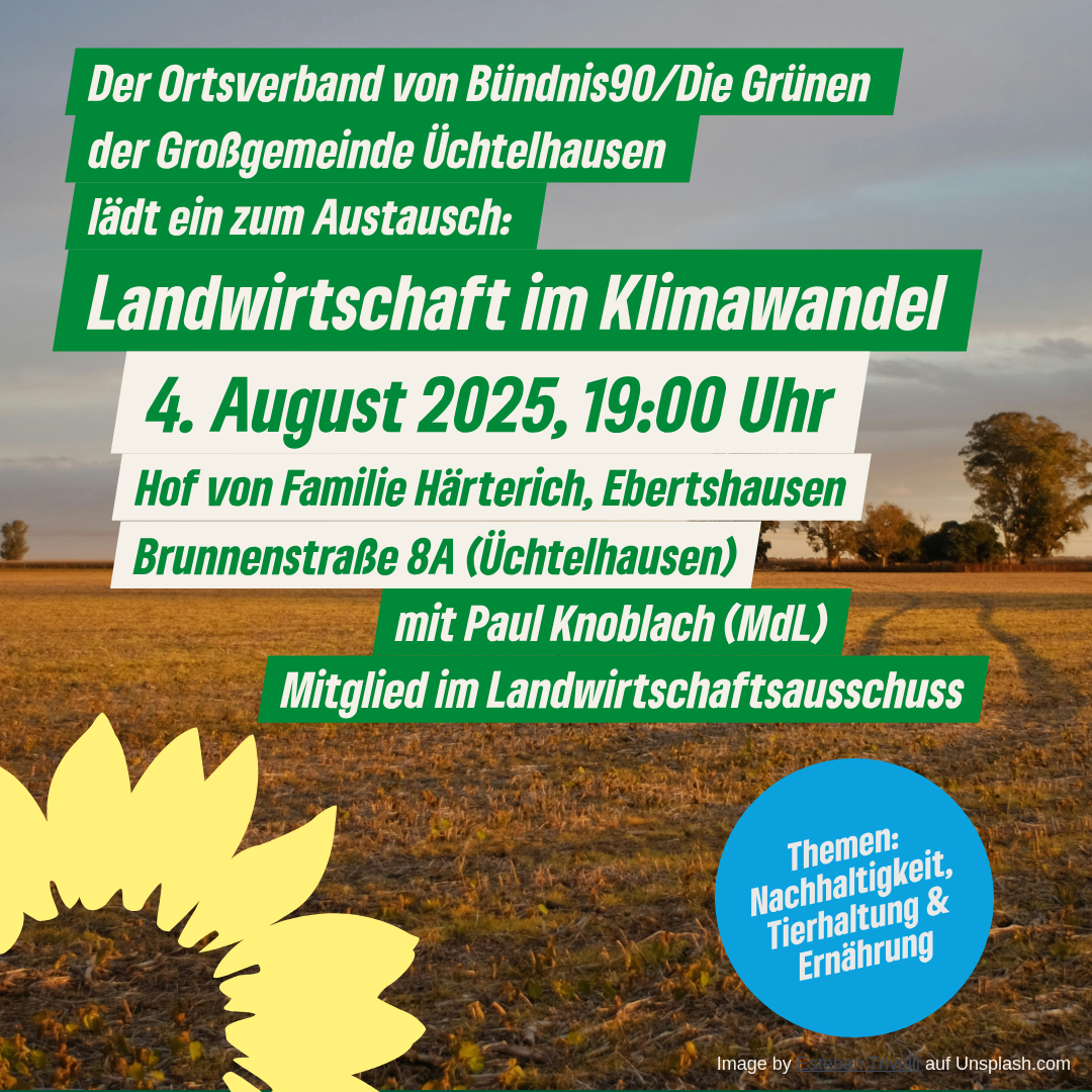 Feld im Hintergrund / Landwirtschaft